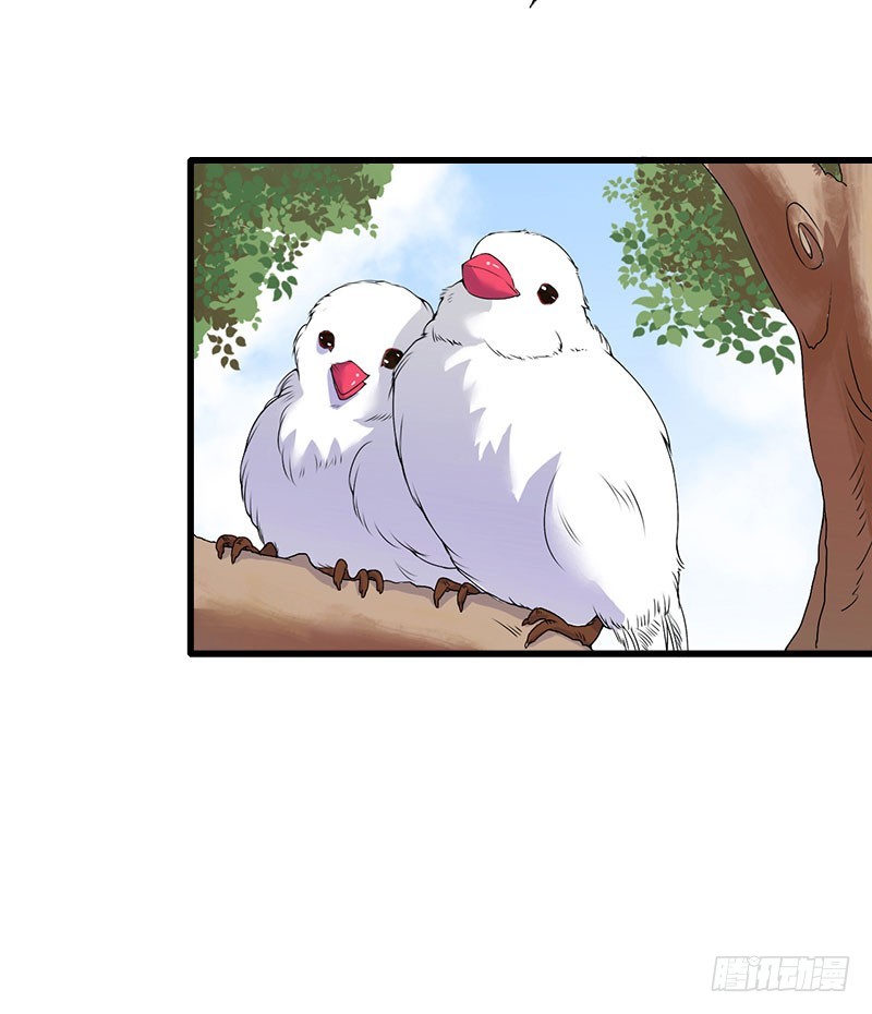 第33话这算哪门子考察？-第33话