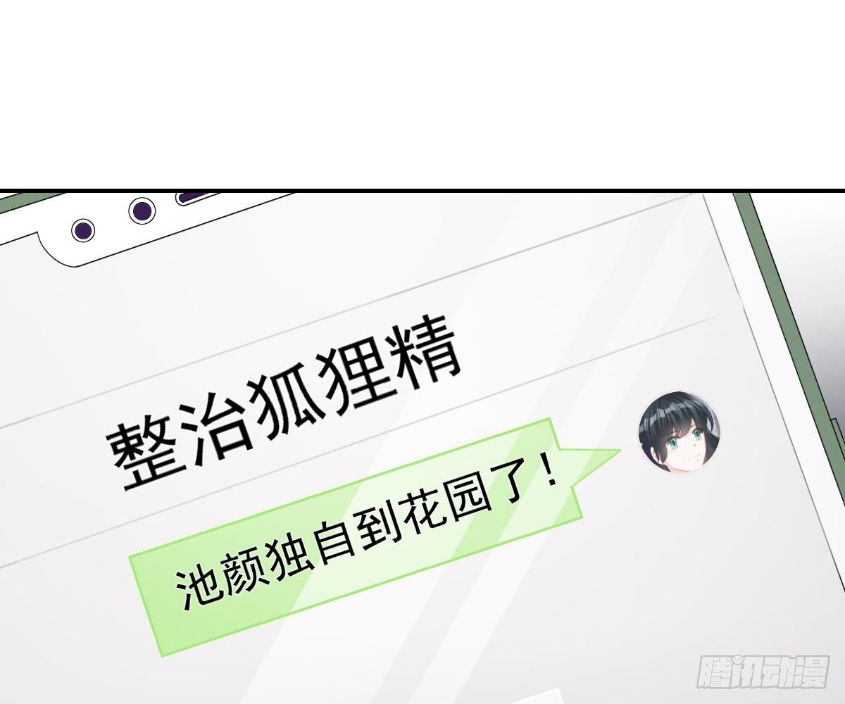 冰山總裁小萌妻（總裁要撩我） - 生日宴會(2/2) - 6