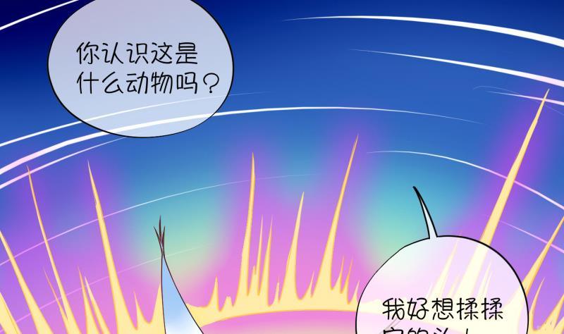 第10话 灵根是啥 能吃嘛？2-第11话