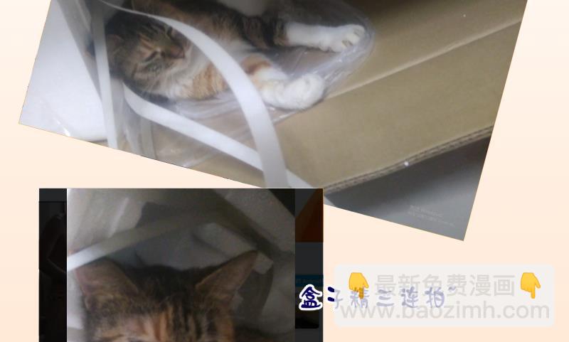 第50话  咬杀 1-第51话