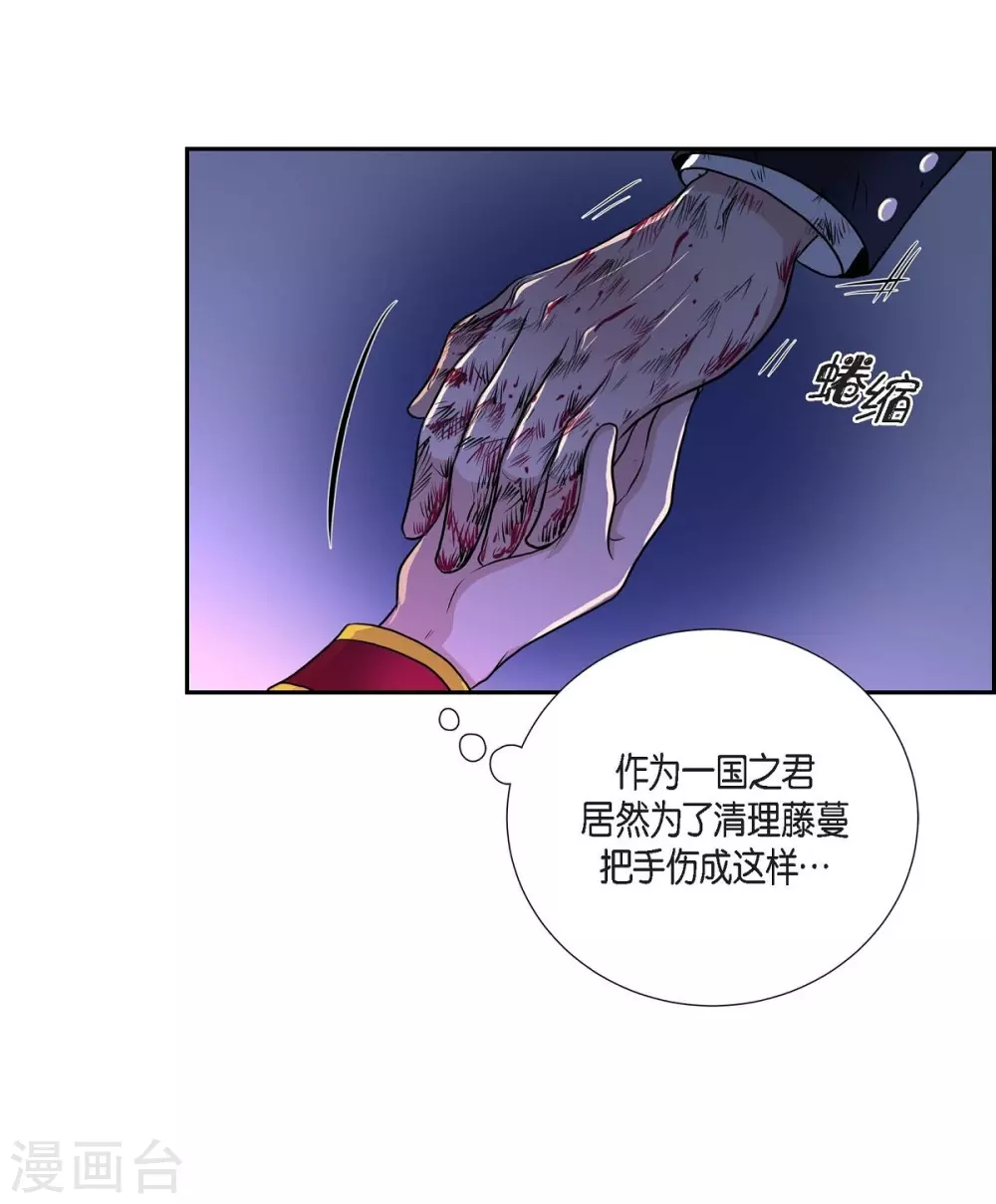 第49话 自作多情(1/2)-第49话