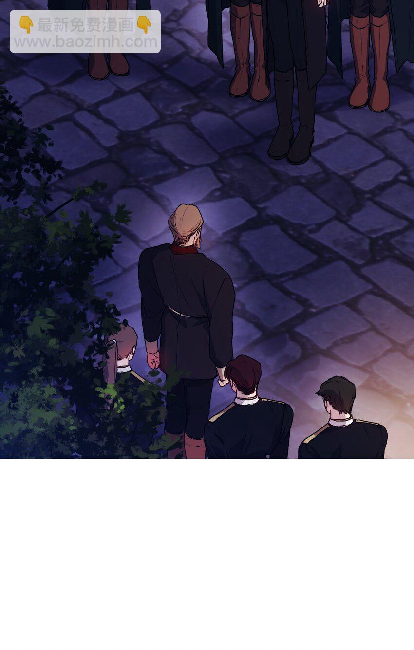 46 皇妃的决断(1/2)-第47话