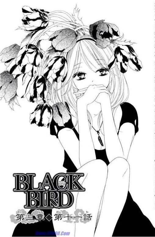 BLACK BIRD-黑鳥戀人- - 第11卷(3/4) - 7