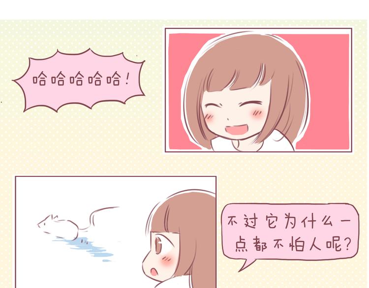 第37话 2014年1月-第37话