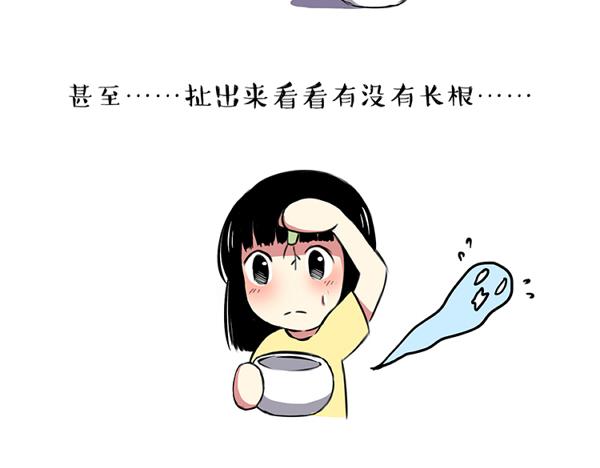 第41话 2014年6月-第41话