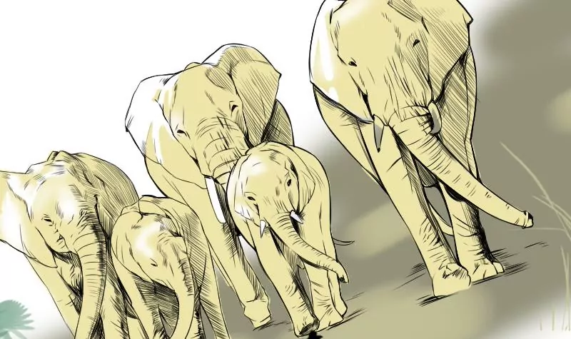 第7话 阳师-第7话