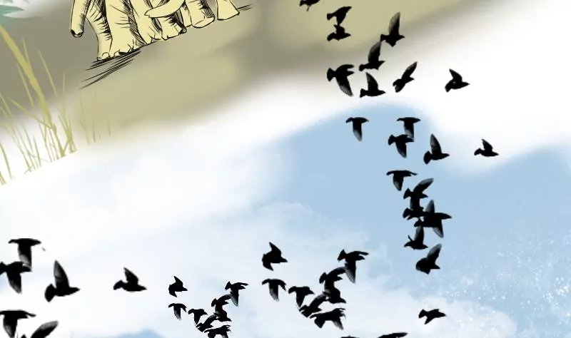 第7话 阳师-第7话