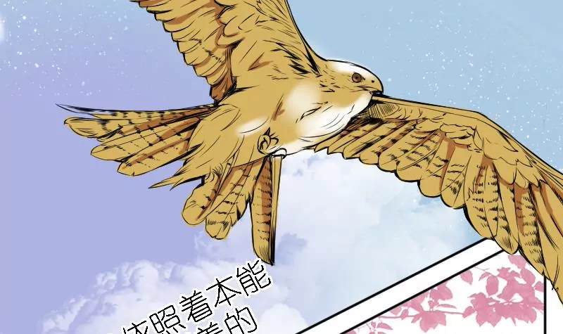 第7话 阳师-第7话