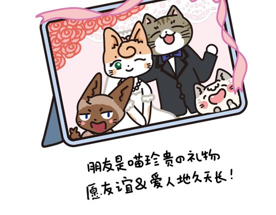 婚礼篇系列二-第13话