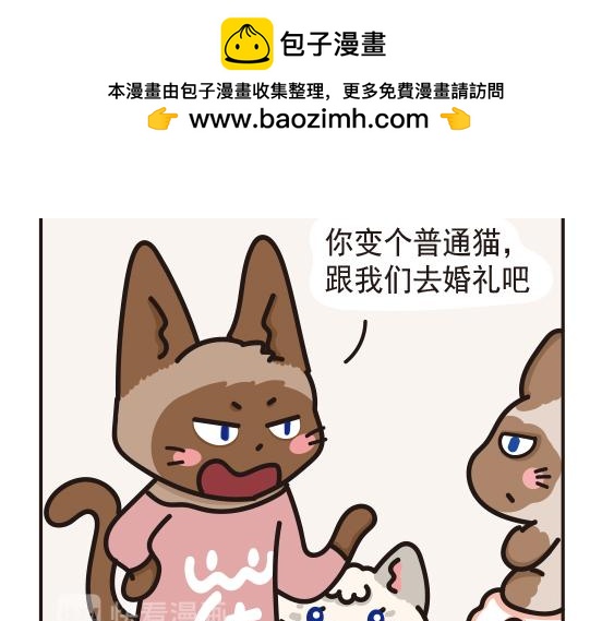 婚礼篇系列二-第13话