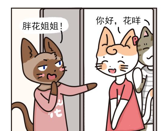 猫崽篇系列二-第19话