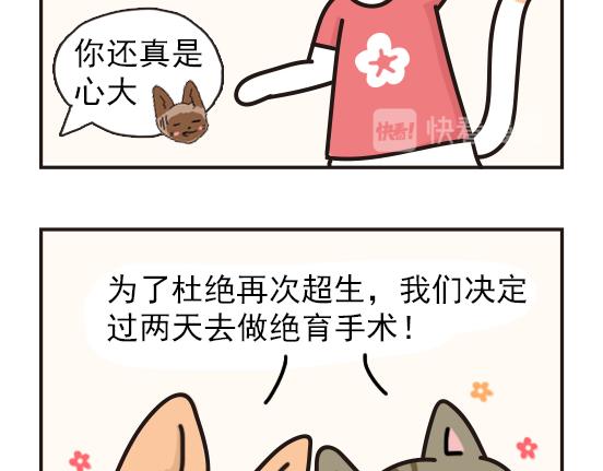 猫崽篇系列二-第19话