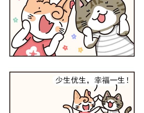 猫崽篇系列二-第19话