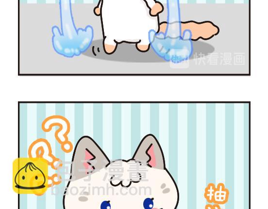 猫崽篇系列二-第19话