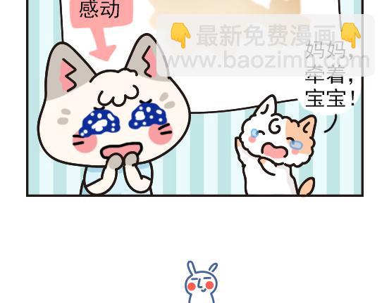 猫崽篇系列二-第19话