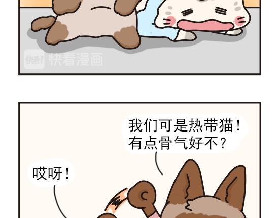 夏日篇系列一-第21话