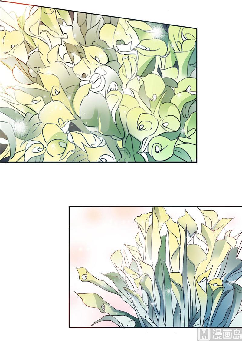 第49话 求婚成功-第49话