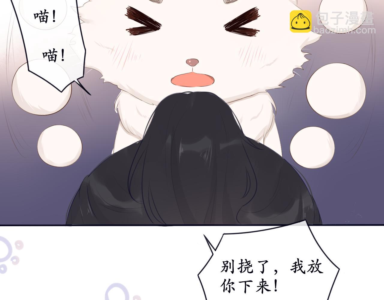 第7话 喵咪师尊(1/2)-第7话