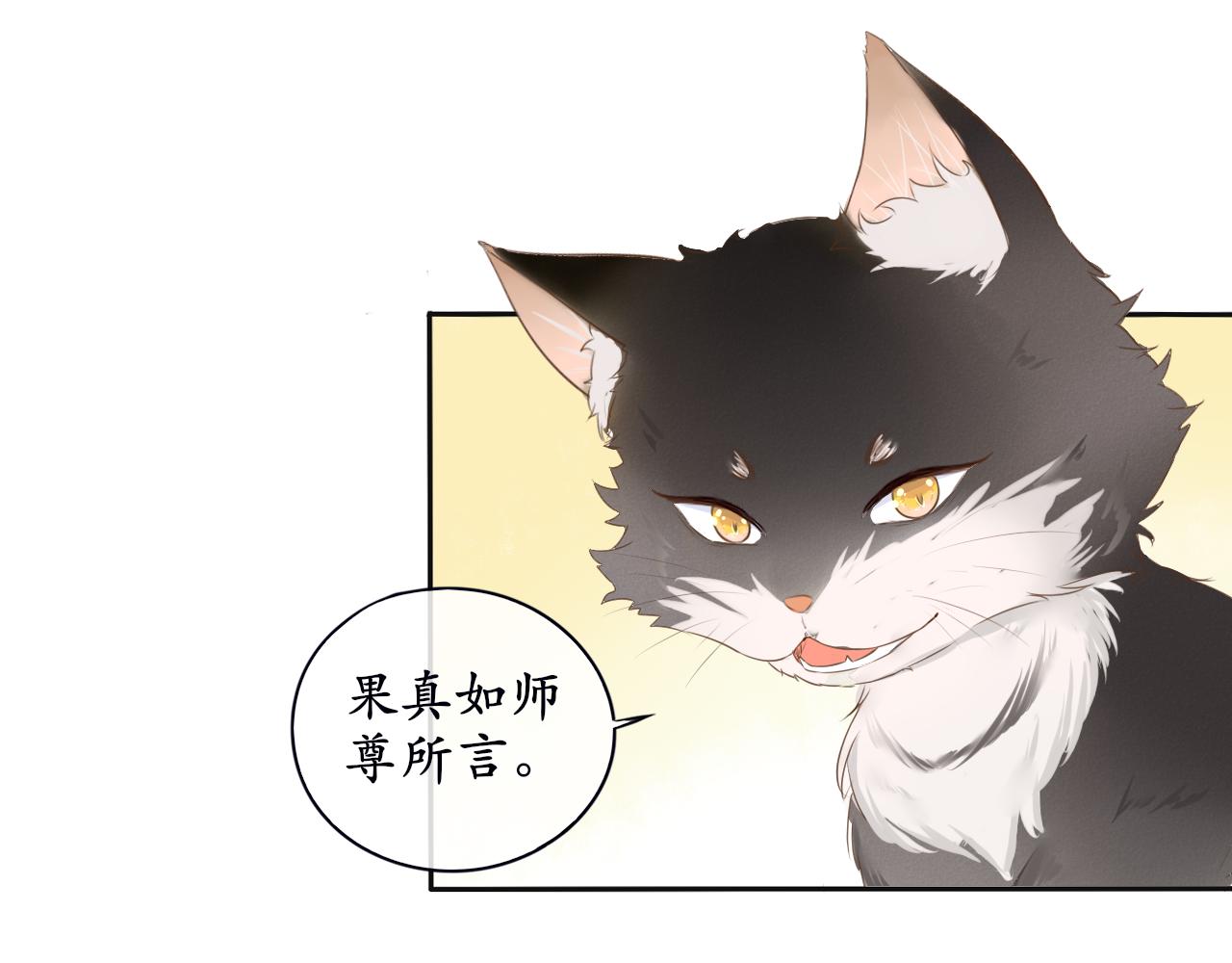 第7话 喵咪师尊(1/2)-第7话