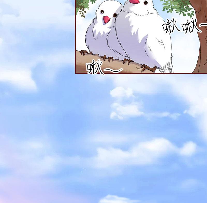 第25话 婚约取消！-第25话