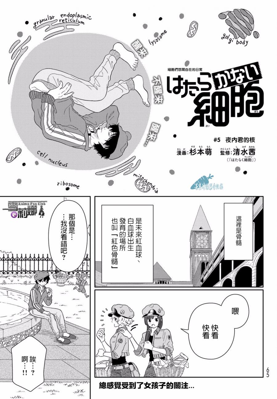 不工作細胞 - 第5話 細胞們悠閒自在的日常 - 1