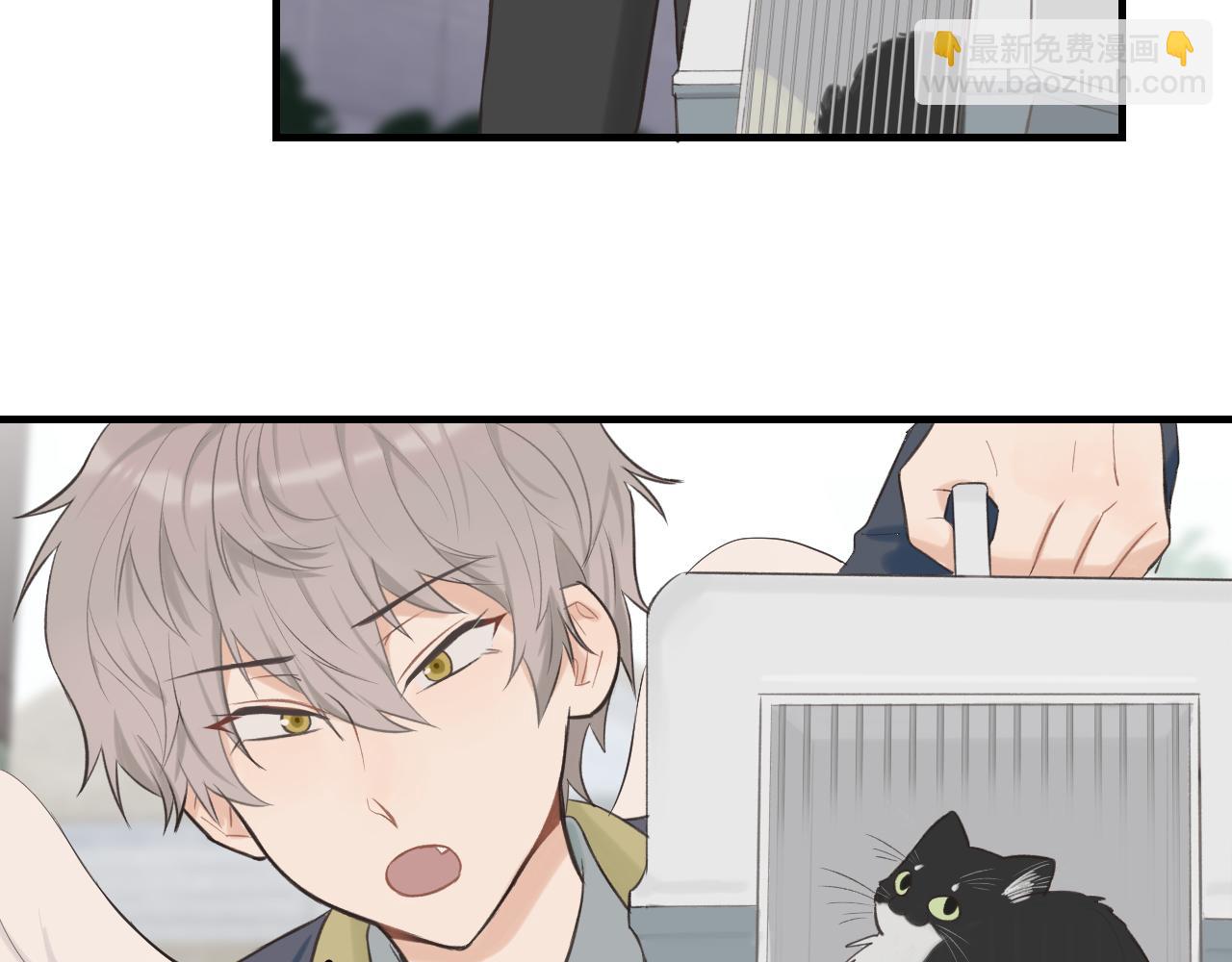 第12话 为养猫做准备(1/2)-第13话