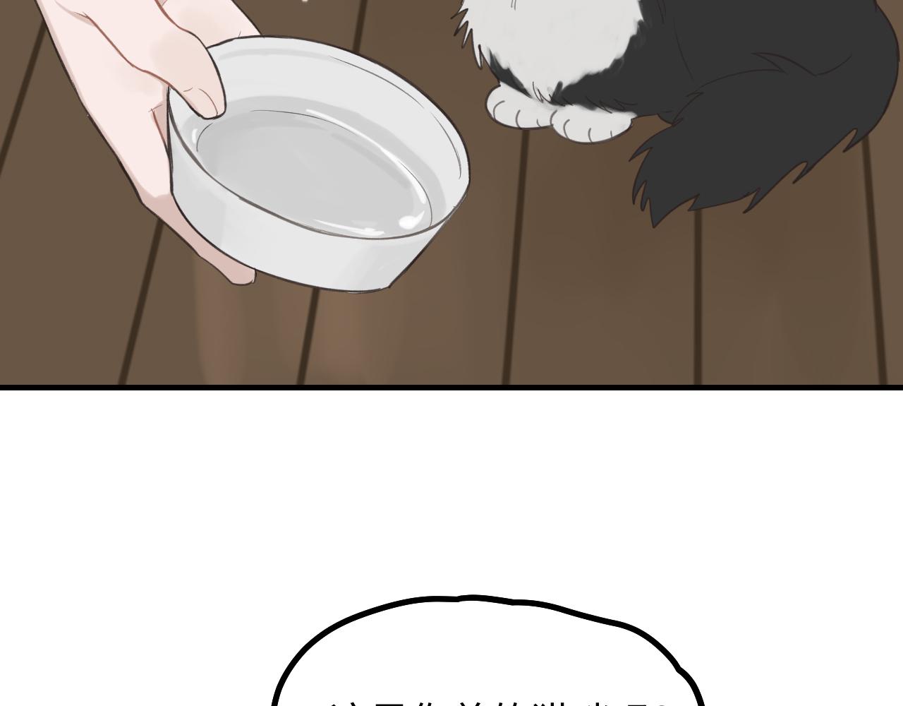 第12话 为养猫做准备(1/2)-第13话