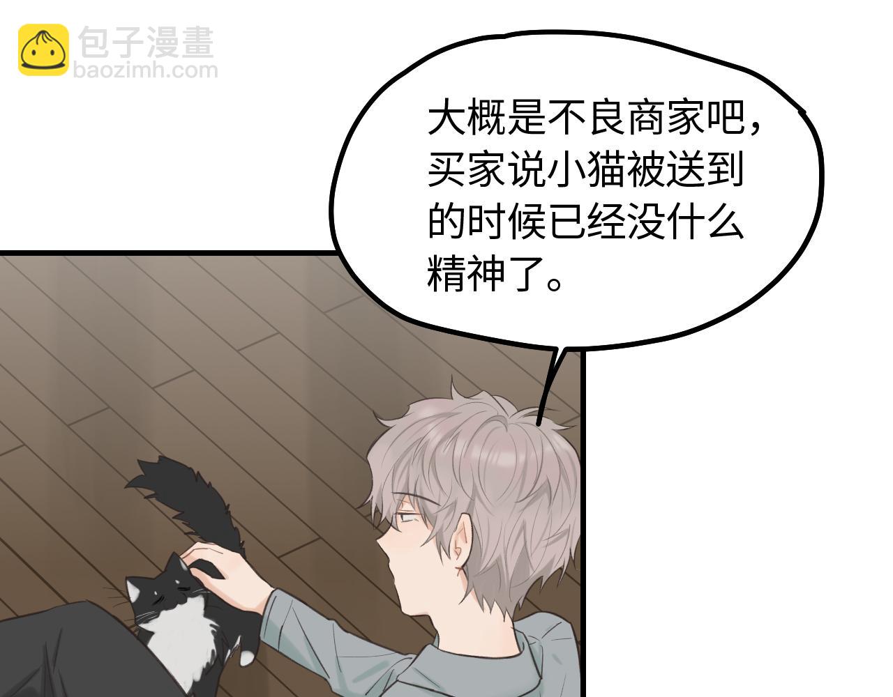 第12话 为养猫做准备(1/2)-第13话