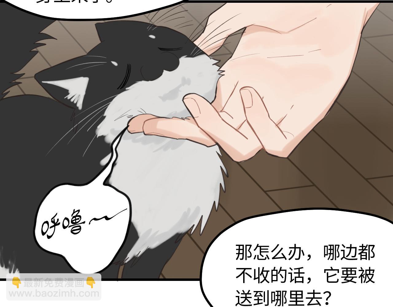 第12话 为养猫做准备(1/2)-第13话