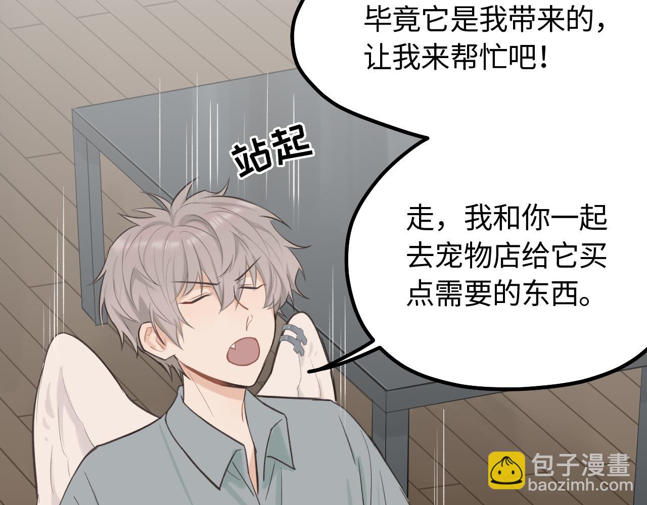 第12话 为养猫做准备(1/2)-第13话