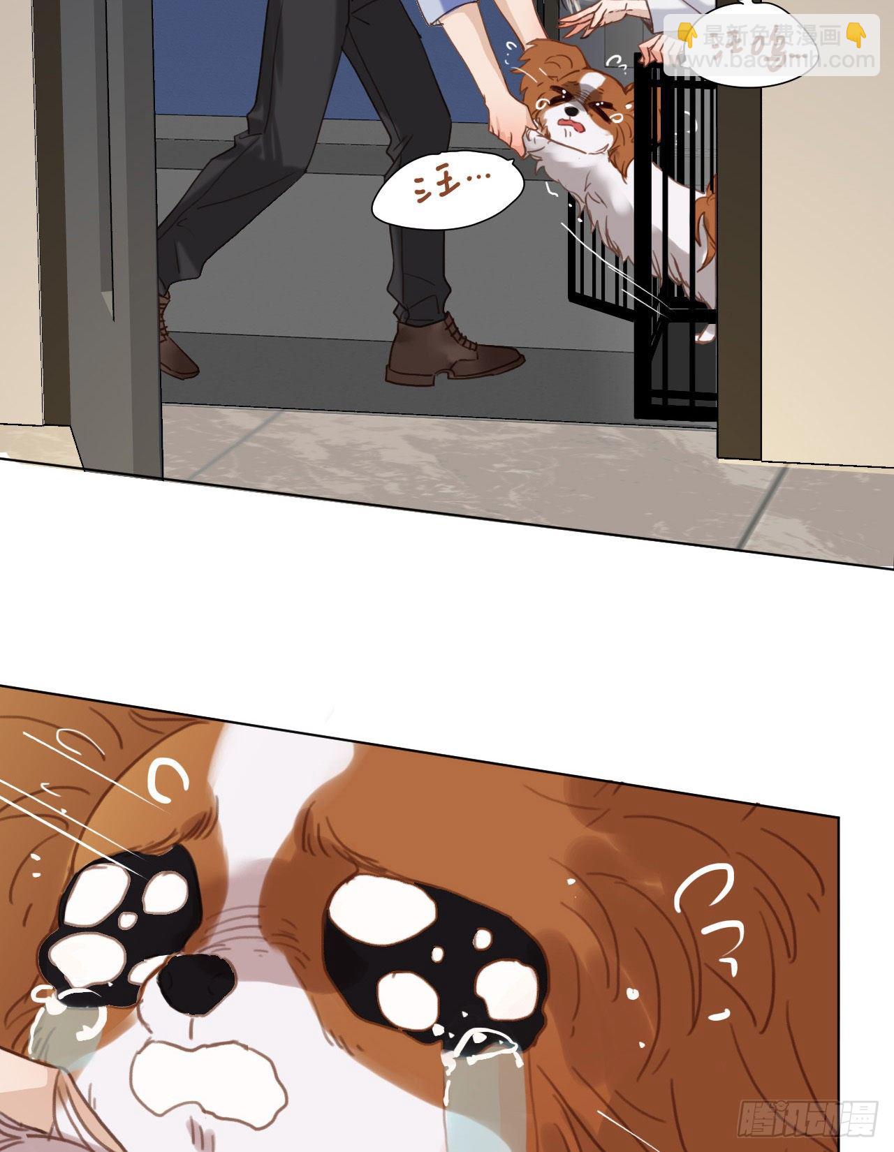 不健全關係 - 五子奪算·10(1/2) - 8