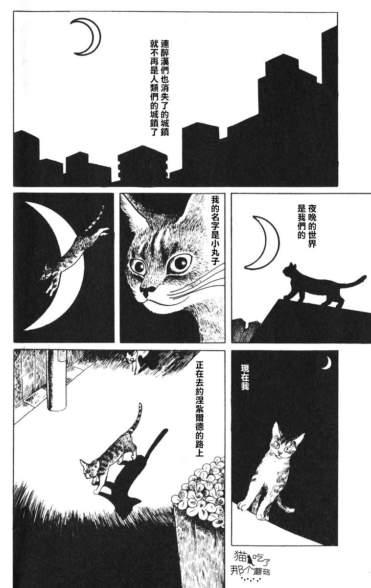 不可思議貓物語 - 第01話 - 4