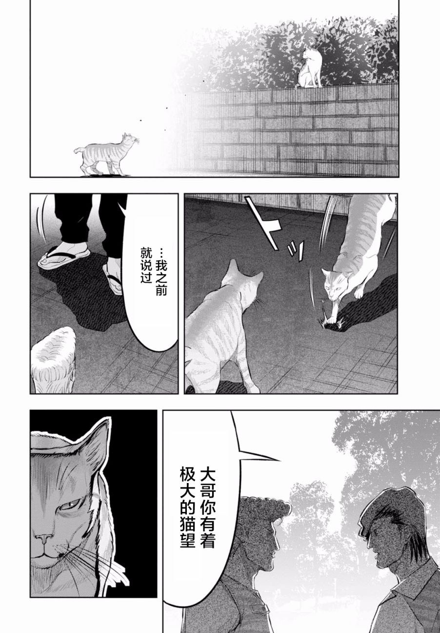 不良貓 - 15話 - 5