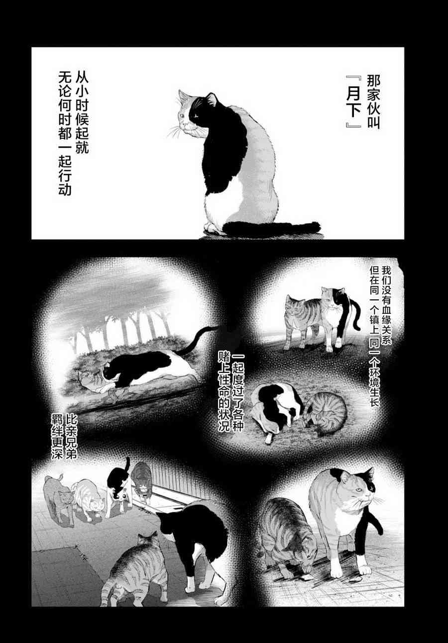 不良貓 - 9話 - 3