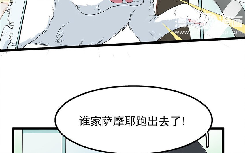 11 第12话 别小看了医生！-第11话