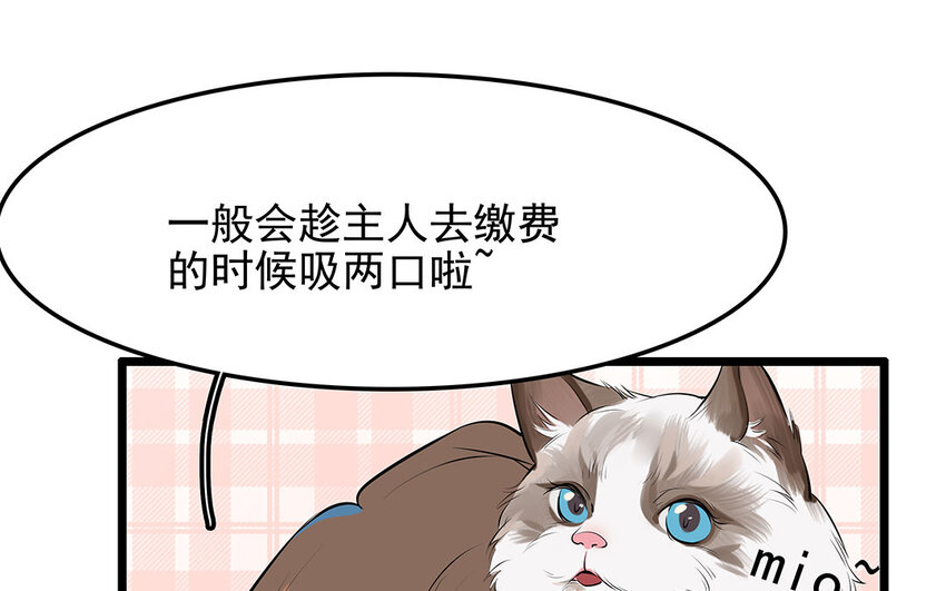 19 第20话 直播事故(1/2)-第19话