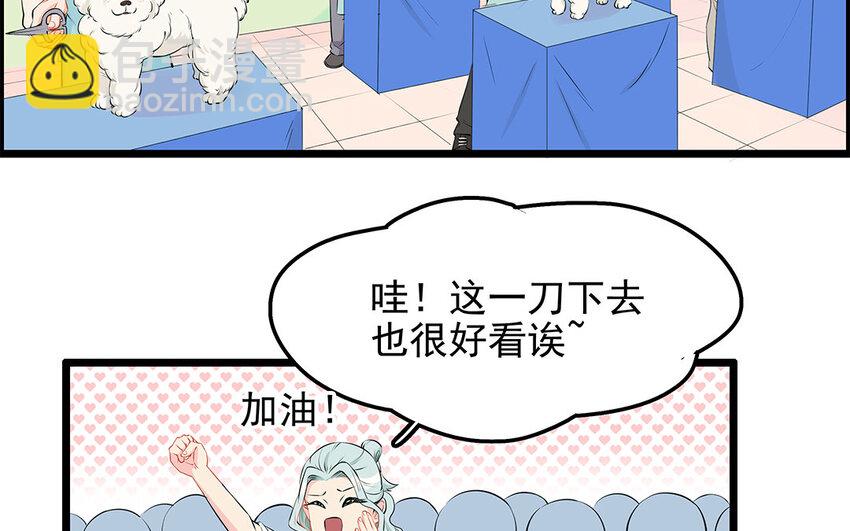21 第22话 宠物博览会(1/2)-第21话