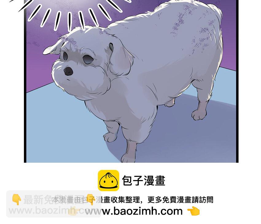 21 第22话 宠物博览会(1/2)-第21话