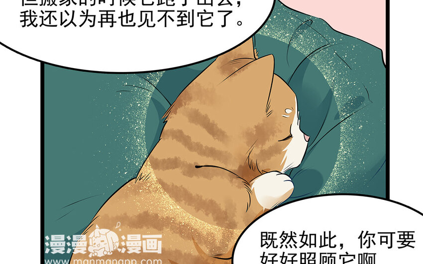 27 第28话 你虐待它？(1/2)-第27话