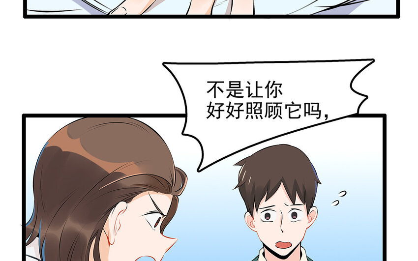 27 第28话 你虐待它？(1/2)-第27话