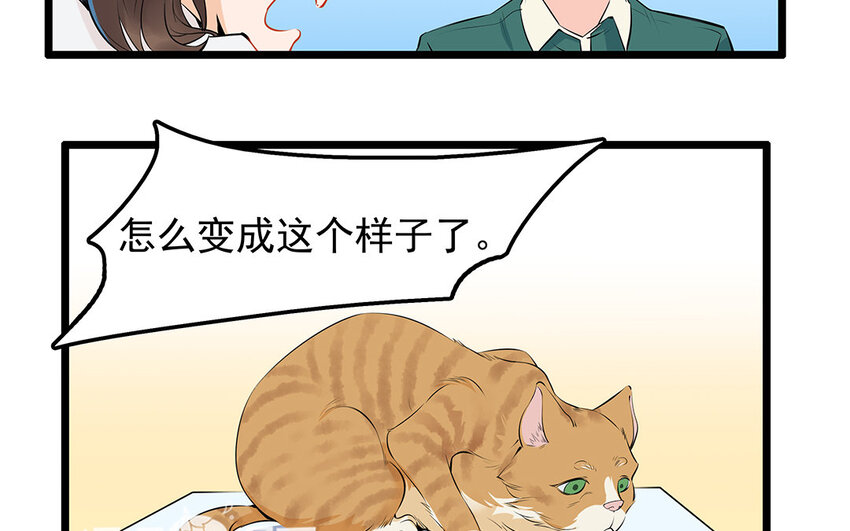 27 第28话 你虐待它？(1/2)-第27话