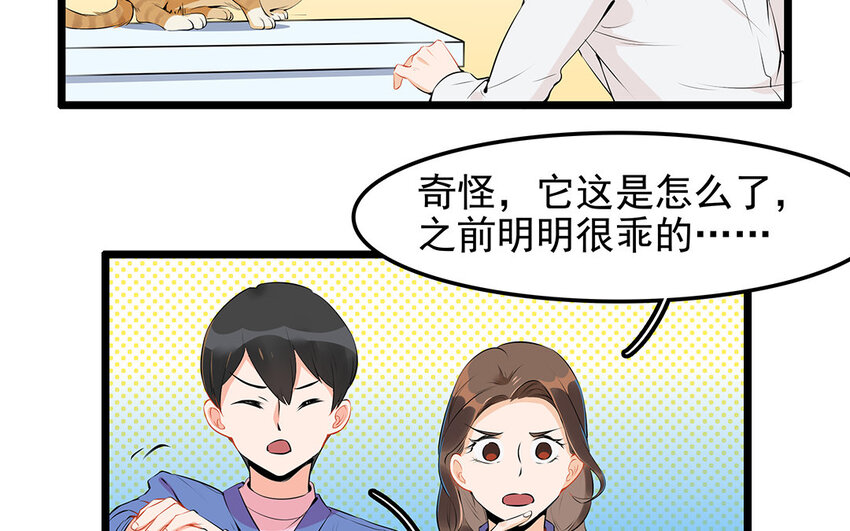 27 第28话 你虐待它？(1/2)-第27话