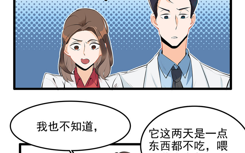 27 第28话 你虐待它？(1/2)-第27话