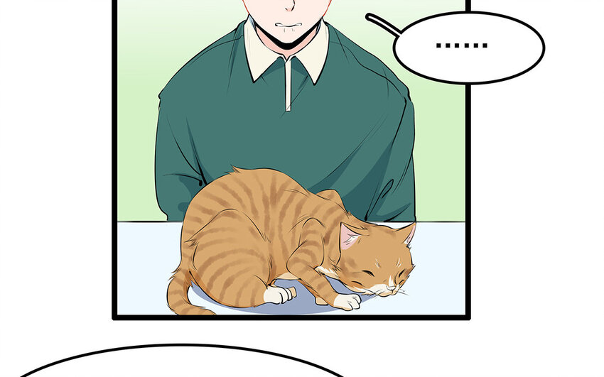 27 第28话 你虐待它？(1/2)-第27话