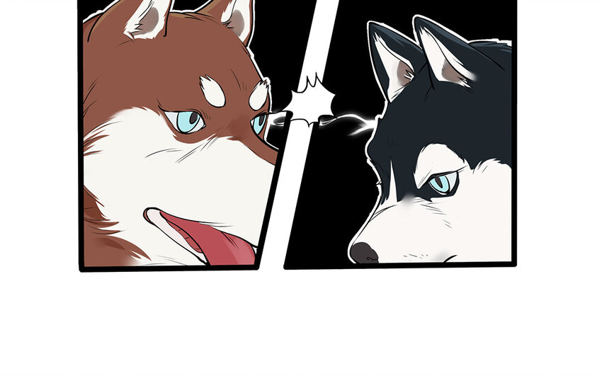 29 第30话 恶势力来袭！(1/2)-第29话