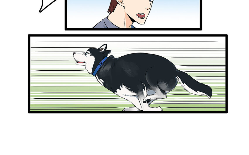 29 第30话 恶势力来袭！(1/2)-第29话