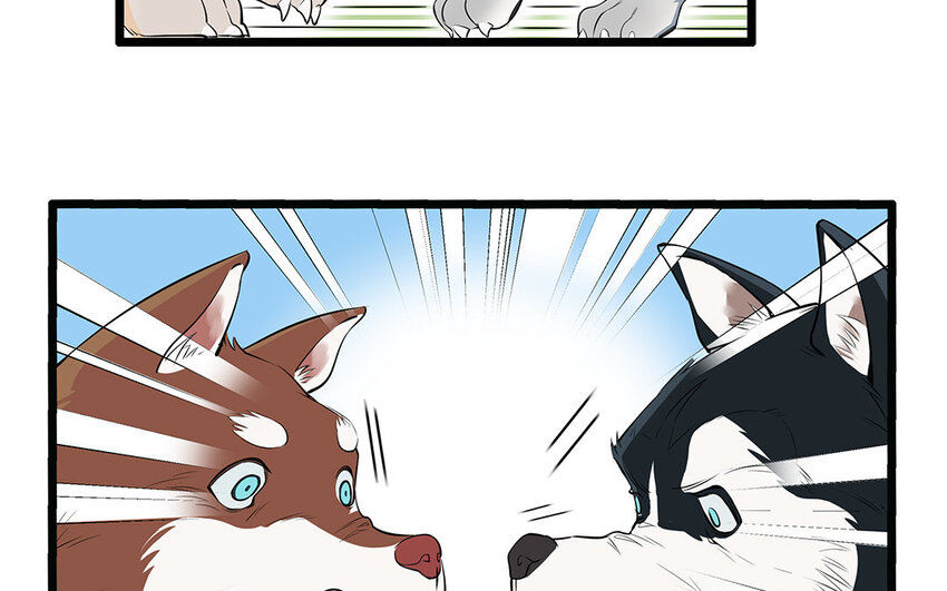 29 第30话 恶势力来袭！(1/2)-第29话