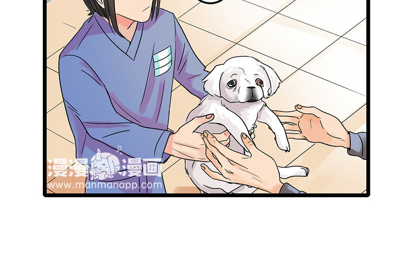 5 第6话 病危的京巴-第5话