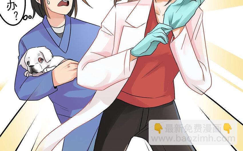 5 第6话 病危的京巴-第5话