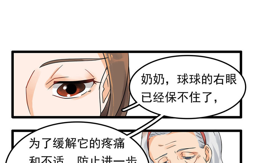 5 第6话 病危的京巴-第5话